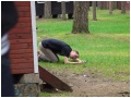[Kliknij aby powikszy]