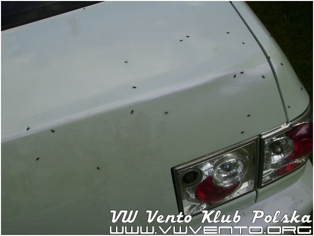 ZLOT VW Vento Krzecz w 2006 49 of 153